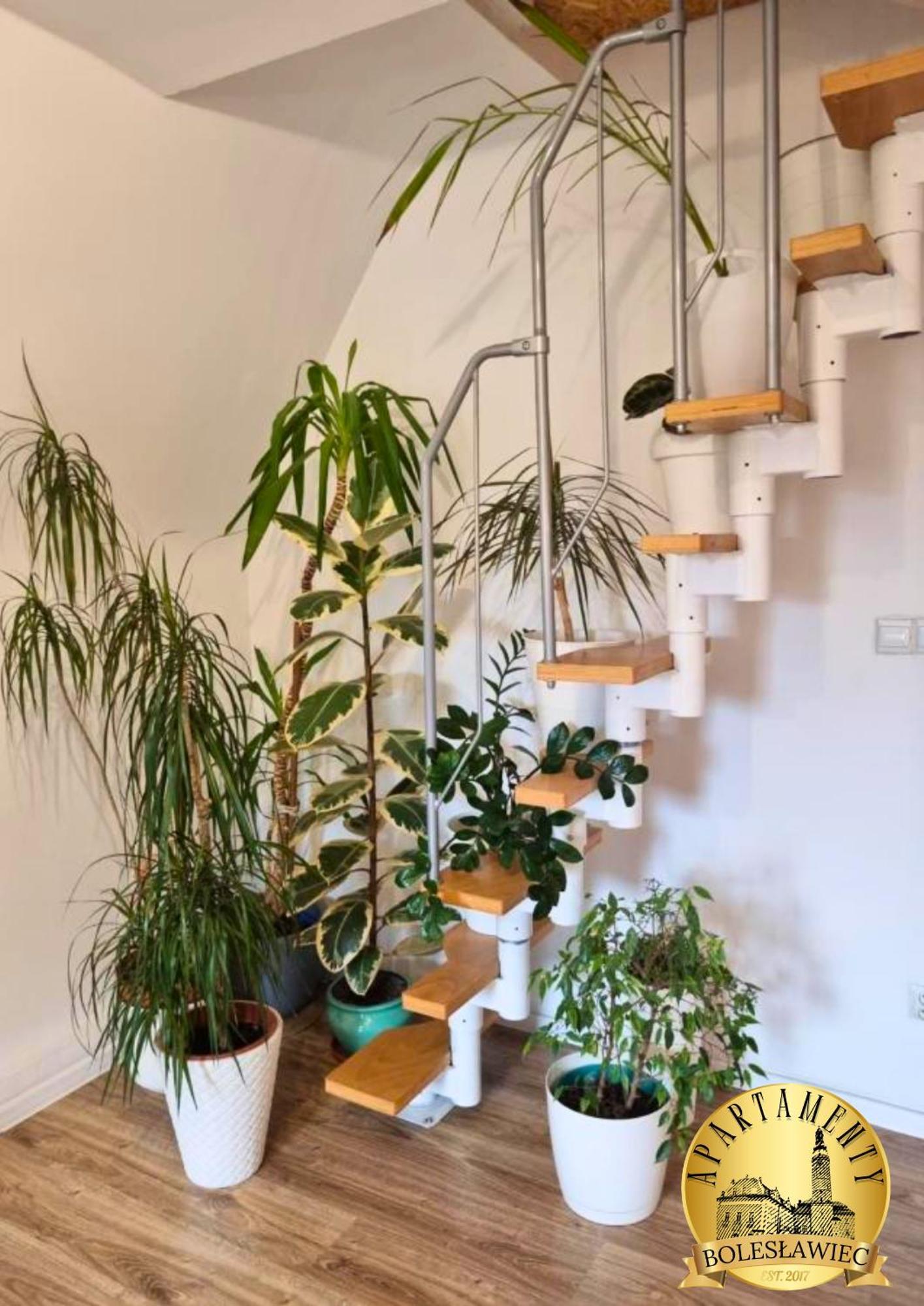 Apartament W Rynku Boleslawiec  Ngoại thất bức ảnh